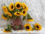 *** Sunflowers - still life ***