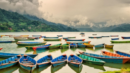 Fewa Lake (Nepal) - Seagul, Spears, Hammock, Paradise, Britney