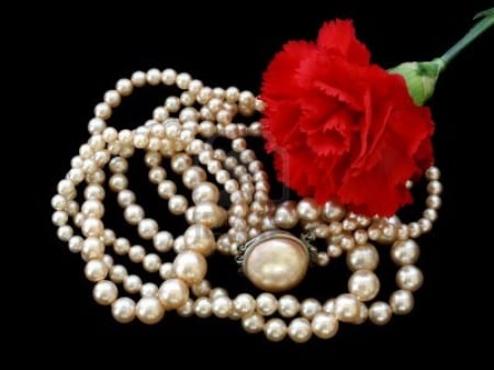 pearls and carnation - red, flower, carnation, photography, pearls