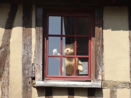 Teddy bear - photo, window, bear, teddy bear