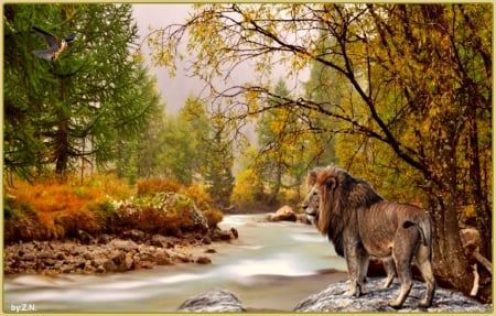 lion and nature,autumn - river, ion, nature, autumn