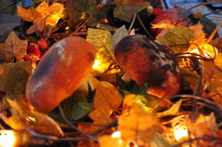 Fall Season - leaves, mushroom, colors, autumn