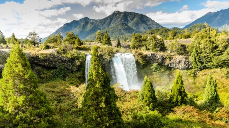 truful waterfall conguillio national park chile - spray, waterfall, rocs, forest, mountain