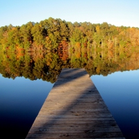 Autumn Reflection!