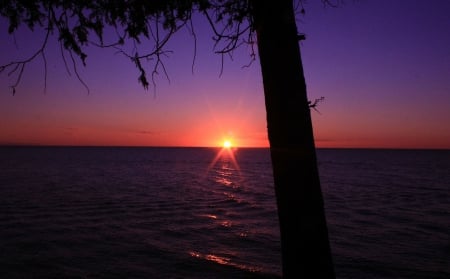 Purple Sunset! - sunset, nature, purple, sky