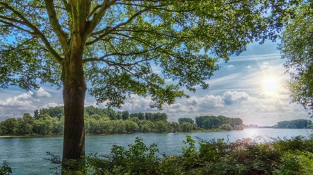 sunshine over a riverscape - sunshine, trees, clouds, river