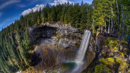 amazing waterfall - forest, bowl, cliff, waterfall, pool