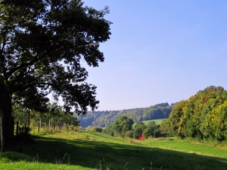 Countryside - nature, sky, trees, photography, field, grass