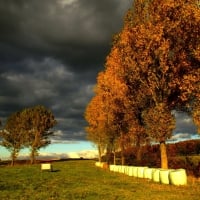 Stormy Autumn