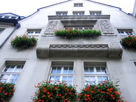 House - architecture, flowers, house, photography