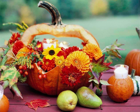 Autumn Still Life - flowers, blossoms, seasonal, pumpkin, pears