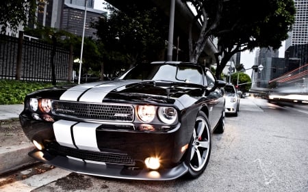 Dodge Challanger - american, sport, fast, car