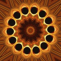 Wild Mandala F1