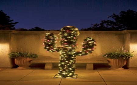 Xmas Cactus - fun, cactus, desert, christmas, decore