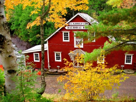 Balmoral grist mill - nice, cottage, autumn, trees, peaceful, colorful, foliage, fall, view, pretty, balmoral, house, grist, branches, falling, lovely, mill, nature, woods, forest, beautiful, colors