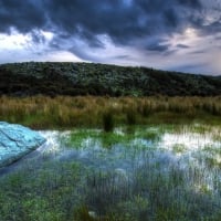 swamp under stormy sky