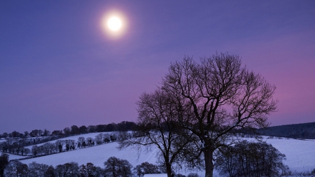 beautiful moon in winter - countryside, winter, haze, moon, night