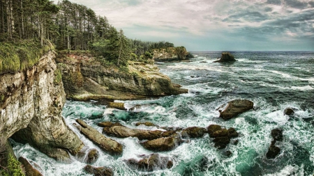 rough rocky seacoast hdr - coast, crevices, hdr, cliffs, sea, forest, rocks