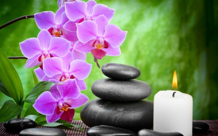 Spa - candle, flower, Spa, stones