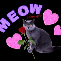 â™¥ *Meow* means I love you â™¥