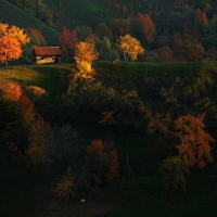 Autumn evening