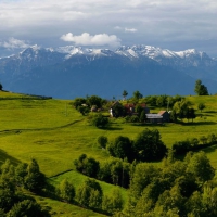 Comuna Poiana Marului din Brasov