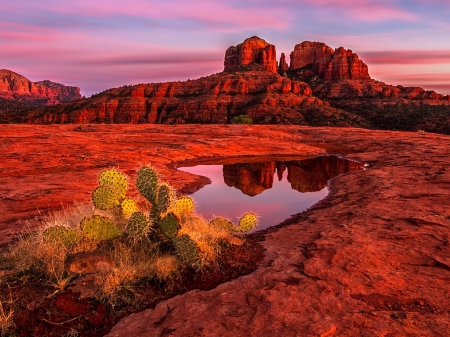 Under a blood red sky - blood, water, amazing, beautiful, landscape, lovely, reflection, mountain, colorful, nature, red, lake, nice, cactus, sky, rocks