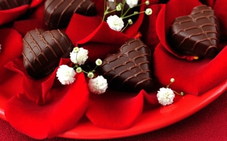 Treat for an autumn day - red, flower, sweet, dessert, white, treat, petals, chocolate, heart, food, autumn