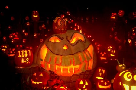 scary pumpkins - halloween, scary, creepy, pumpkin