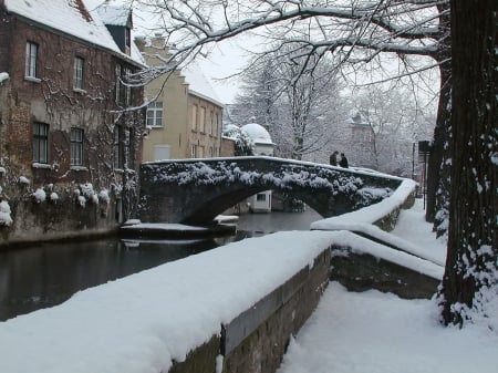 winter tafreel - brug, koud, winter, tafreel