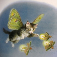 Butterfly Kitty