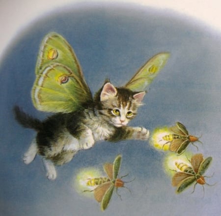 Butterfly Kitty - night, painting, butterfly, kitty