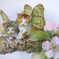 Butterfly Kitties