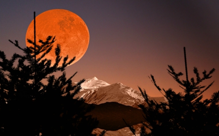 Hunter's Moon over the Mountains - nature, mountains, trees, full moon