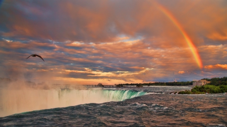 rainbow over mighty niagara falls - rainbow, waterfalls, bird, clouds