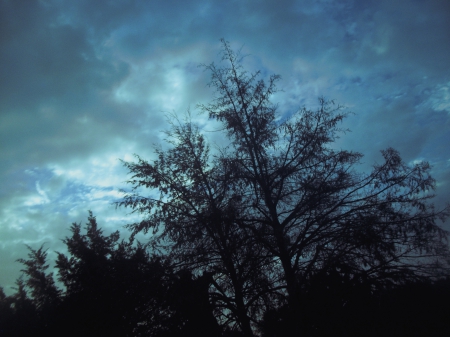 Wonder - sky, branch, black, calm, dark, cloud, tree, feel, jake, flamesoffish, wallpaper, cyan, hd, nature, sd, fof, blue, fog