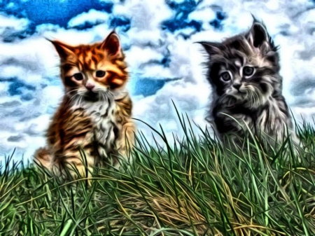 Fract. Cats - carisma, cats, colors, sky