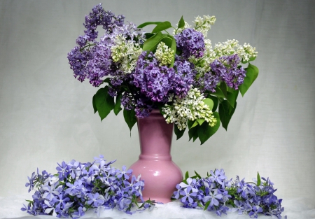 *** Lilacs *** - flowers, flower, nature, lilacs