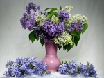 *** Lilacs ***