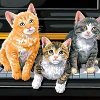 Musical trio