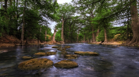 guadalupe river in the texas hill country - forest, rocks, trunks, river