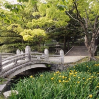 Hagi Castle garden western Honshu