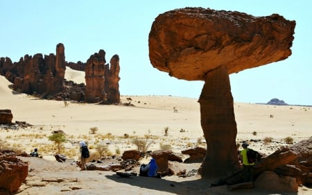 Nature's Umbrella, Ennedi Plateau, Sahara Desert - nature, desert, africa, rocks