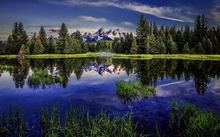 Lake - nature, wood, lake, mountain