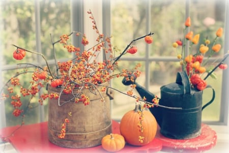 ~October Moments~ - pumpkins, window, photography, still life, orange, flowers, autumn, halloween, october, watering can