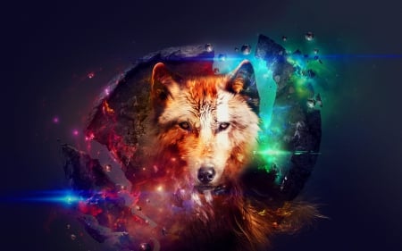 Wolf - stars, colorful, fantasy, wolf, art, abstract, animal, planet, lights