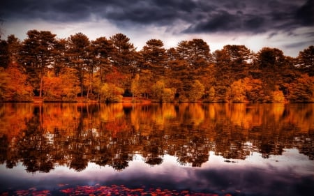 *** Autumn reflection *** - sky, lake, dark, trees, nature, autumn