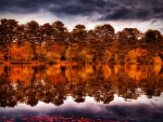 *** Autumn reflection ***