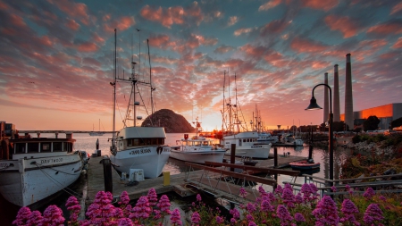 SUNSET ON THE DOCKS - ocean, beach, california, boats, clouds, skies, flowers