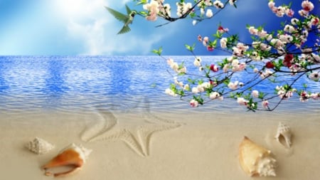 ~*~ Shells ~*~ - beach, hummingbird, shells, blue sky, blue sea, flowers